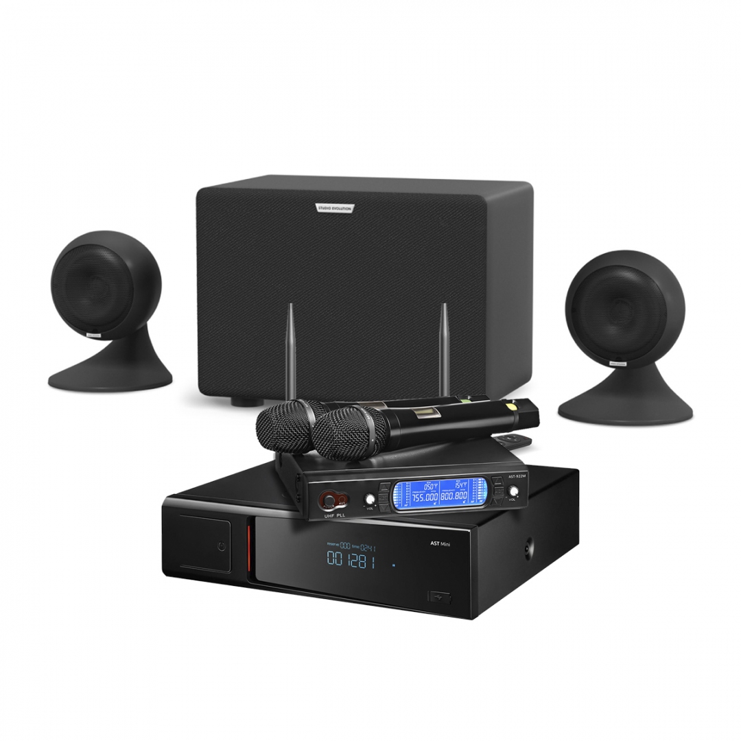караоке-комплект AST Mini Sound Sphere в Сысерти