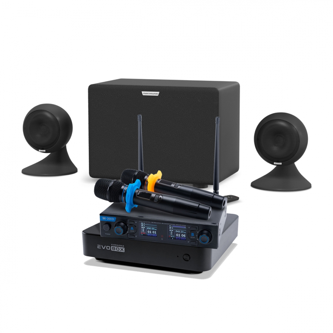караоке-комплект EVOBOX + EvoSound Sphere 2.1 в Сысерти