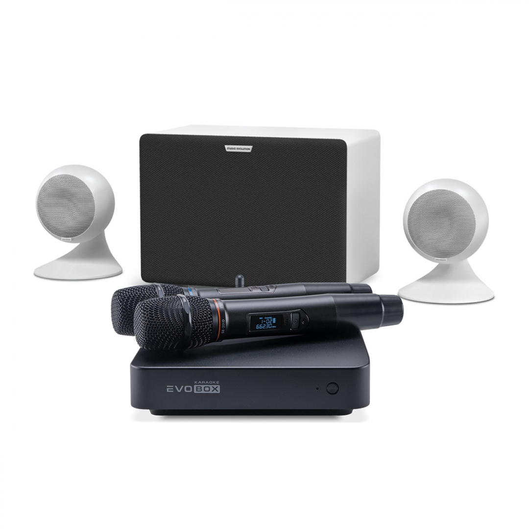 караоке-комплект EVOBOX Classic + EvoSound Sphere 2.1 в Сысерти