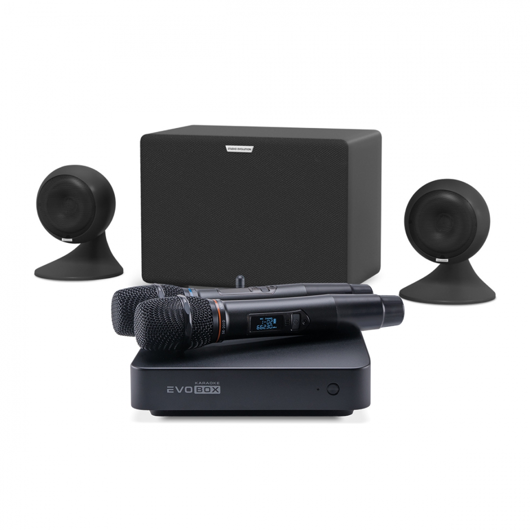 караоке-комплект EVOBOX Plus + EvoSound Sphere 2.1 в Сысерти