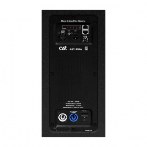 Активная акустическая система AST-310A в Сысерти