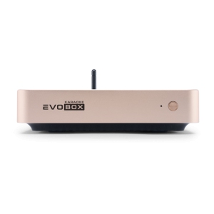 EVOBOX Classic караоке-система для дома в Сысерти