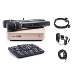 EVOBOX Classic караоке-система для дома в Сысерти