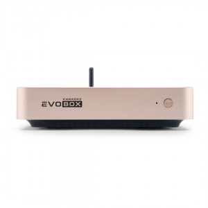 EVOBOX Plus караоке-система для дома в Сысерти