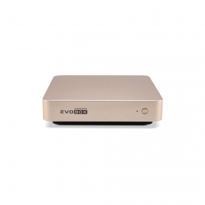 EVOBOX с микрофонами в Сысерти