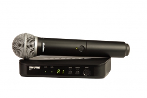 SHURE BLX24E/PG58 M17 вокальная радиосистема в Сысерти